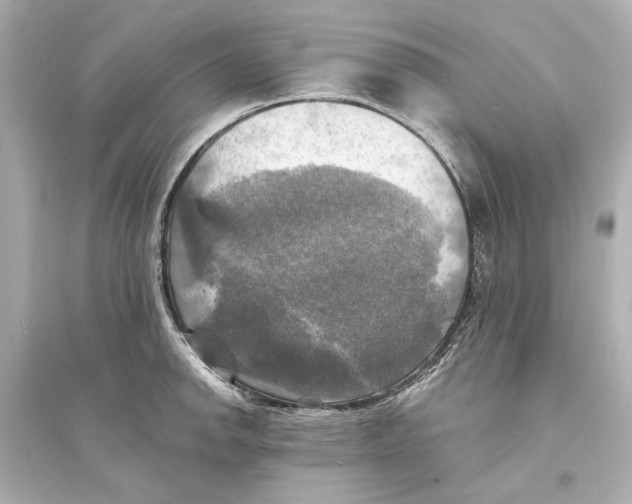 X0000093731142200711131031