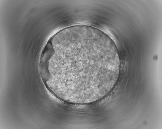 X0000093731143200711131031