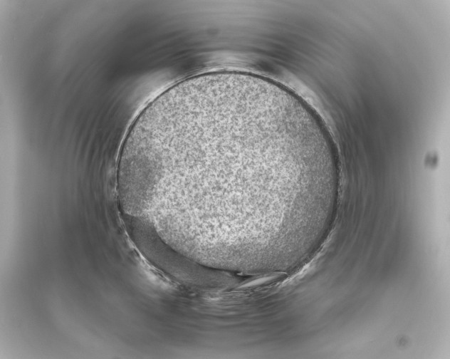 X0000093731145200711131031