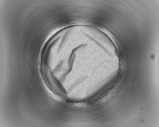 X0000093731147200711131031