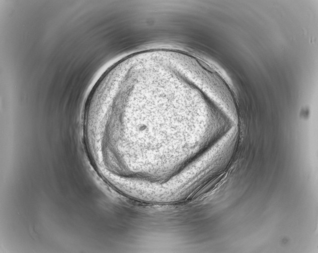 X0000093731148200711131031