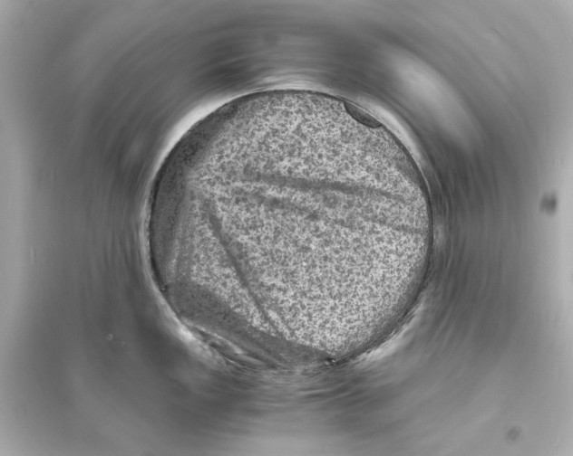 X0000093731149200711131031