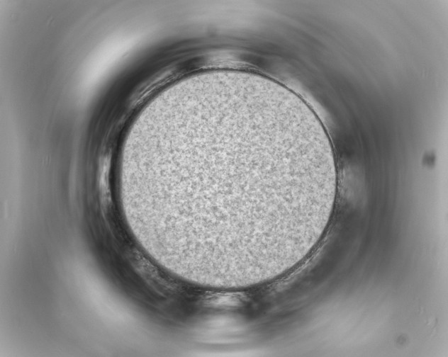 X0000093731150200711131031