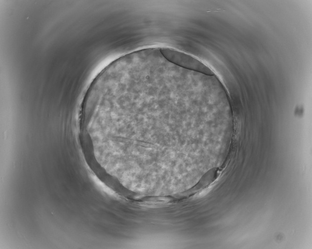 X0000093731151200711131031