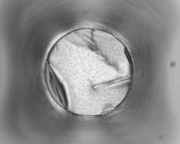 X0000093731152200711131031