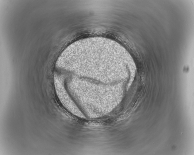 X0000093731153200711131031