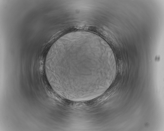 X0000093731154200711131031