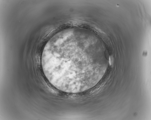 X0000093731155200711131031