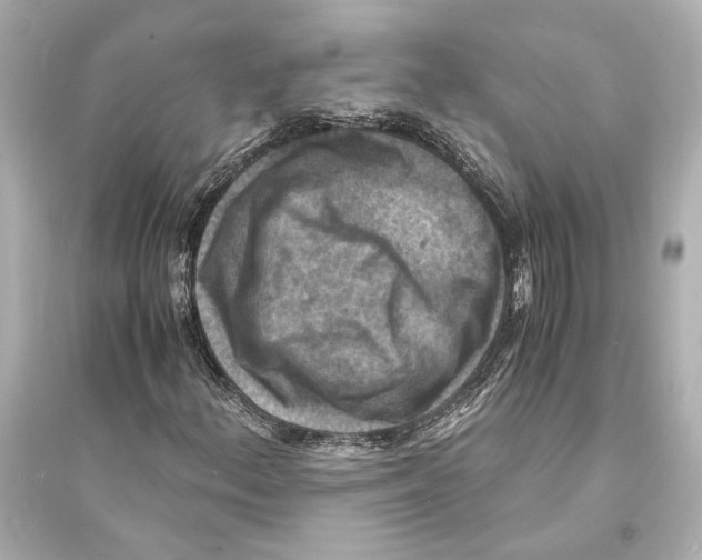 X0000093731156200711131031