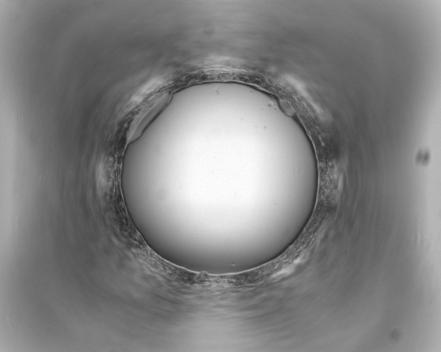 X0000093731157200711131031