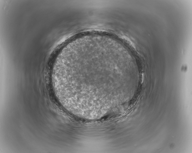 X0000093731159200711131030