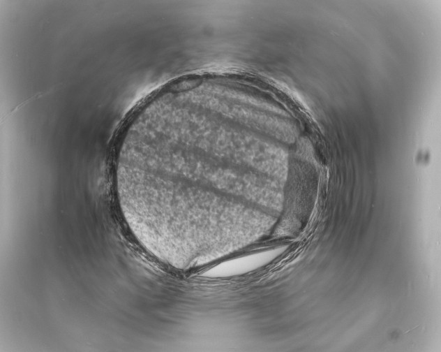 X0000093731160200711131030