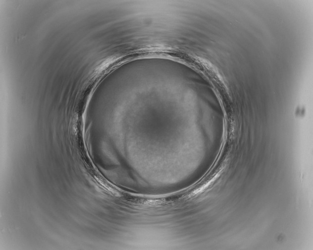 X0000093731161200711131030