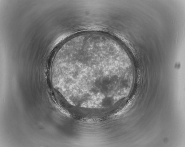 X0000093731163200711131030