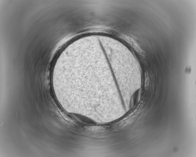 X0000093731164200711131030