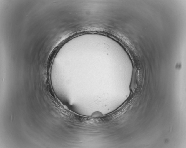 X0000093731165200711131030