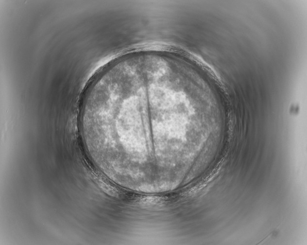 X0000093731166200711131030