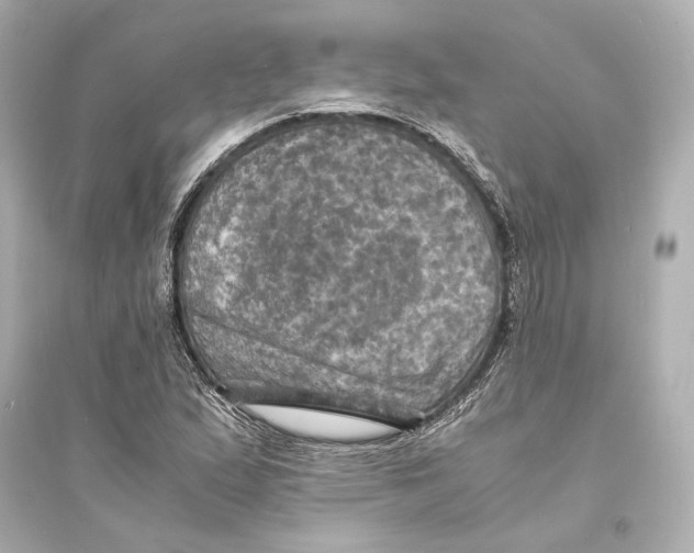 X0000093731167200711131030