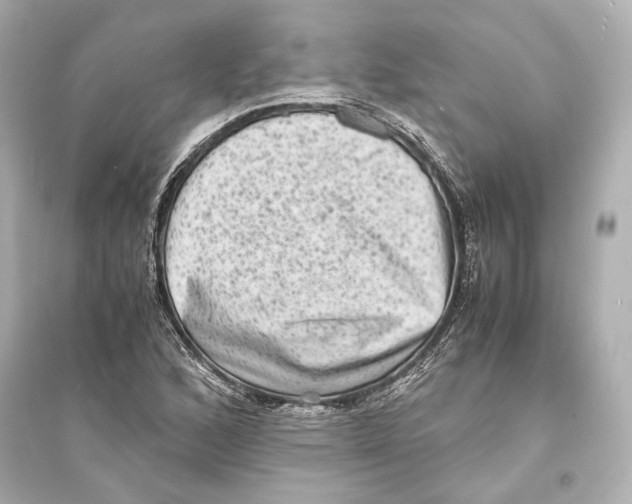 X0000093731168200711131030