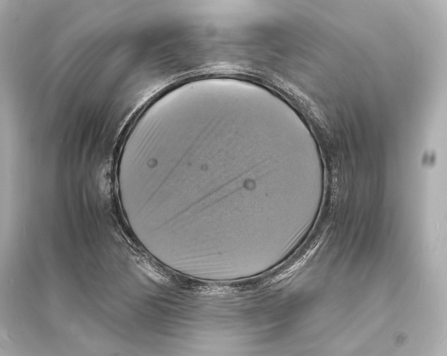 X0000093731170200711131030