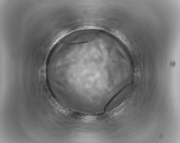 X0000093731173200711131030