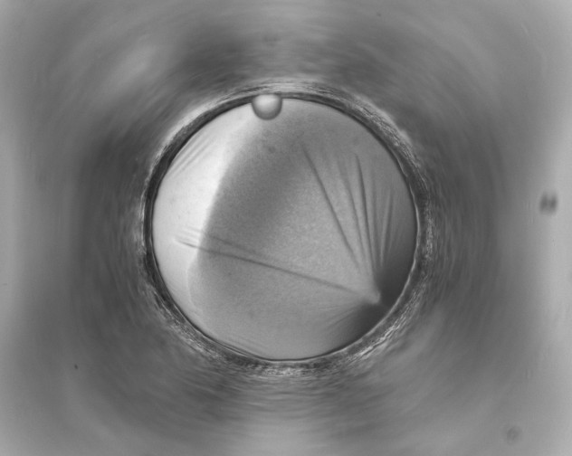 X0000093731174200711131030