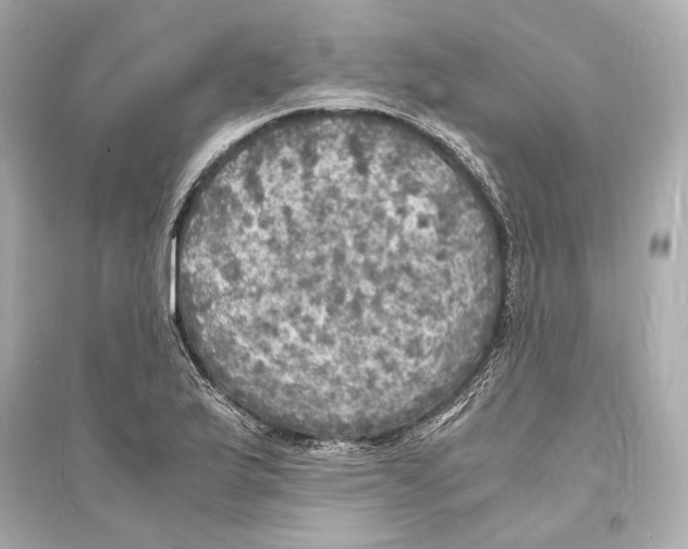 X0000093731175200711131030