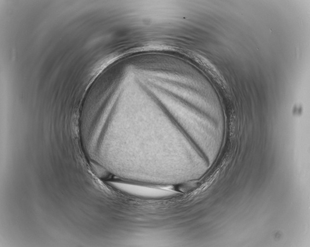 X0000093731177200711131030