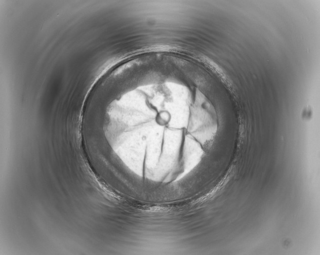 X0000093731178200711131030