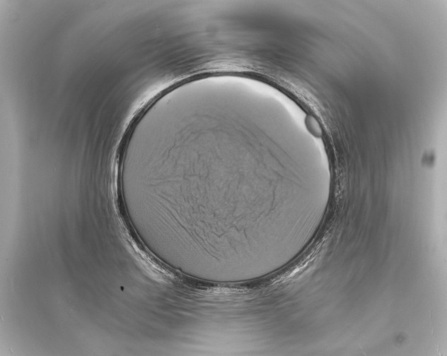 X0000093731179200711131030