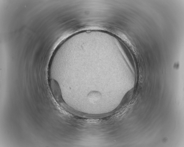 X0000093731181200711131030