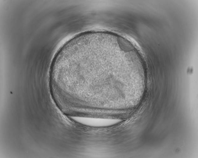 X0000093731183200711131030