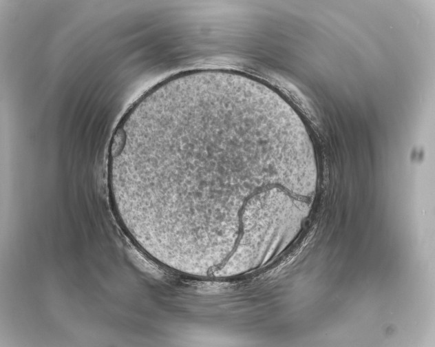 X0000093731184200711131030