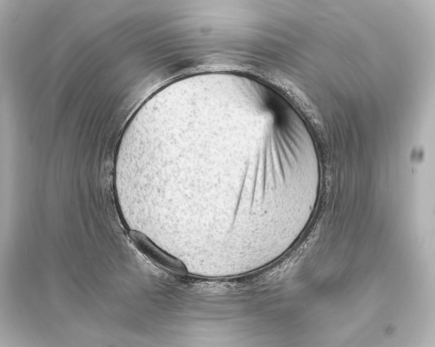 X0000093731185200711131030