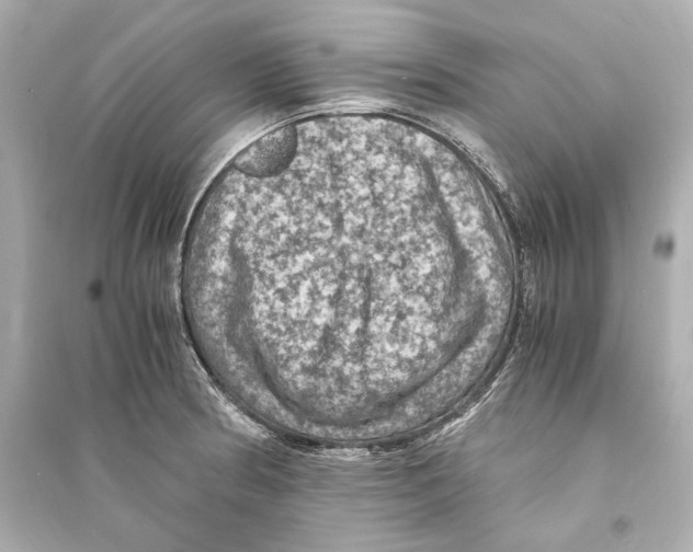 X0000093731186200711131030