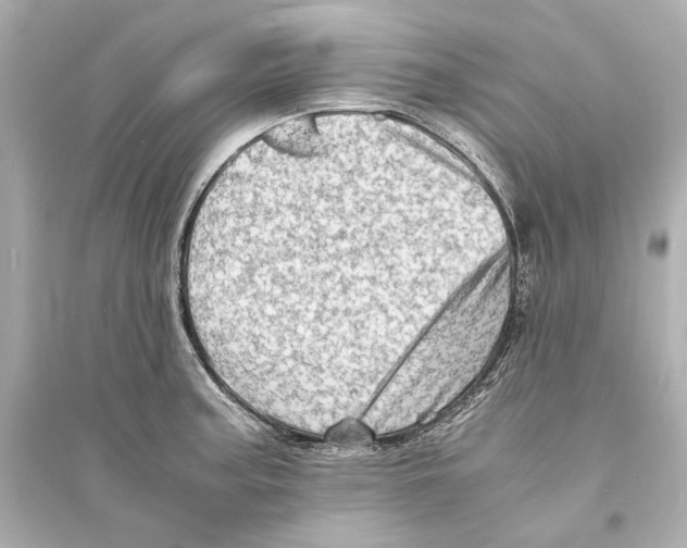 X0000093731187200711131030