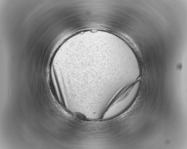 X0000093731188200711131030