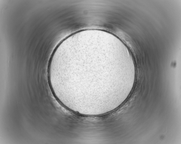 X0000093731189200711131030