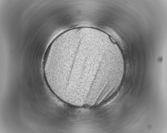 X0000093731190200711131030