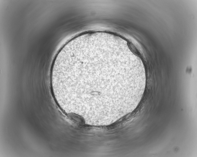 X0000093731191200711131030