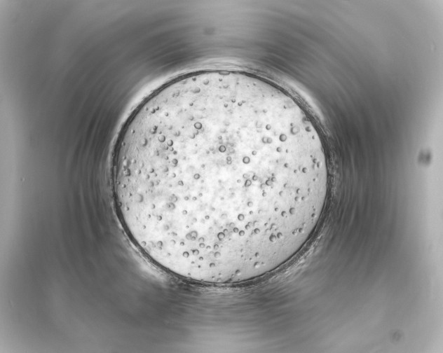 X0000093731192200711131030