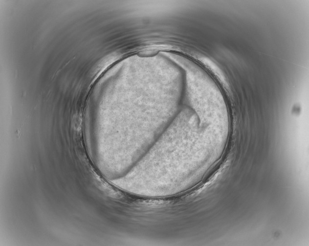 X0000093731193200711131030