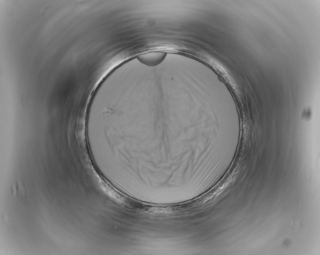 X0000093731194200711131030