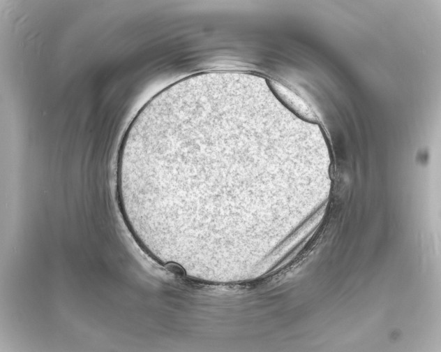 X0000093731195200711131030