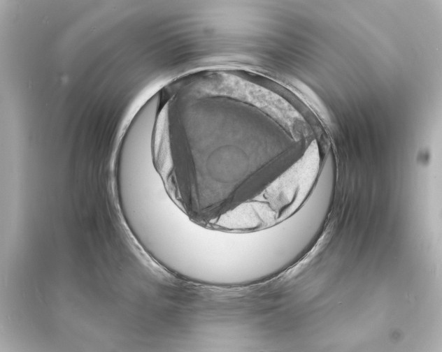 X0000093731196200711131030