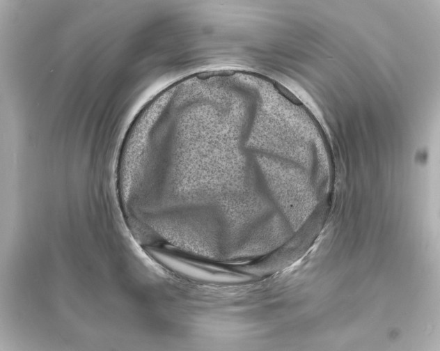 X0000093731197200711131030