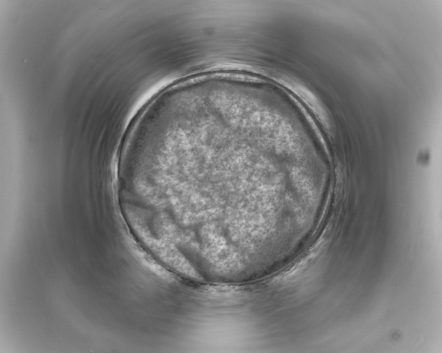 X0000093731198200711131030