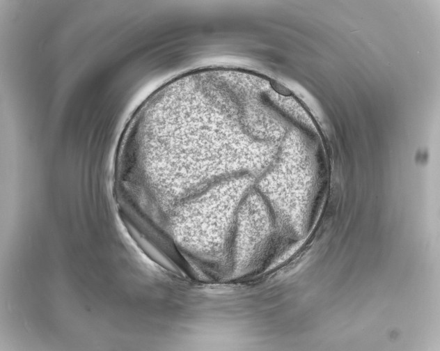 X0000093731199200711131030