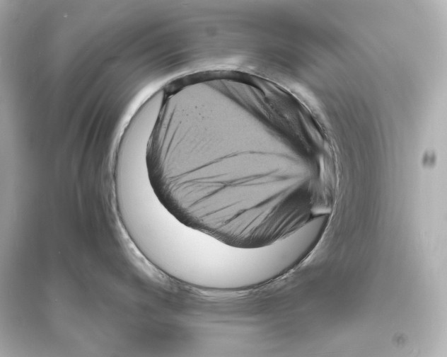 X0000093731200200711131030