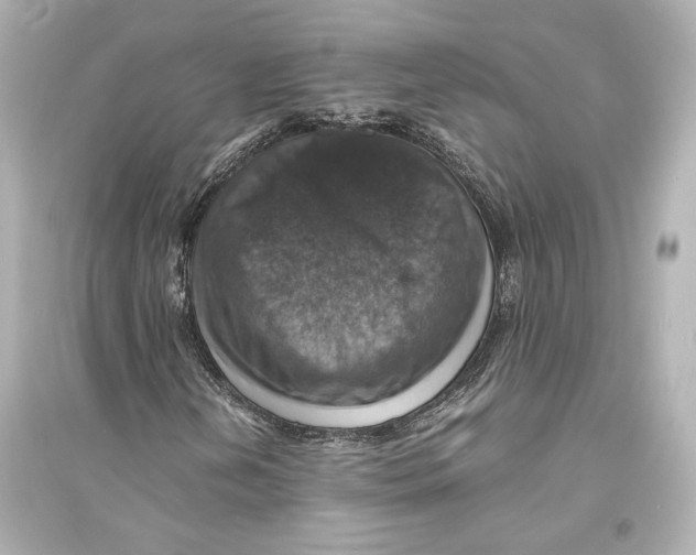 X0000093731202200711131029